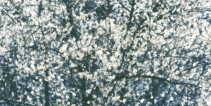 MeDuブランドサイト