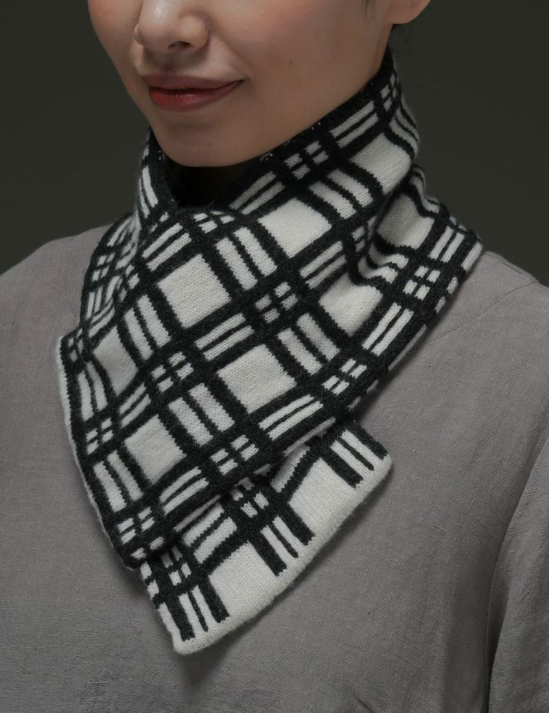 ミニマフラーチェック